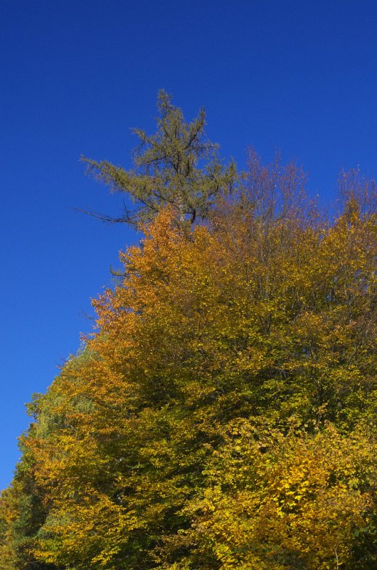 IMGP0673