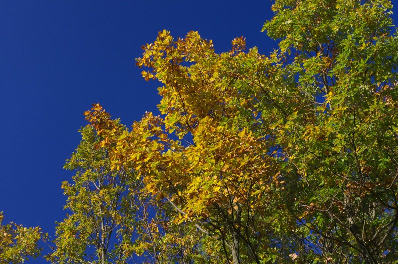 IMGP0674