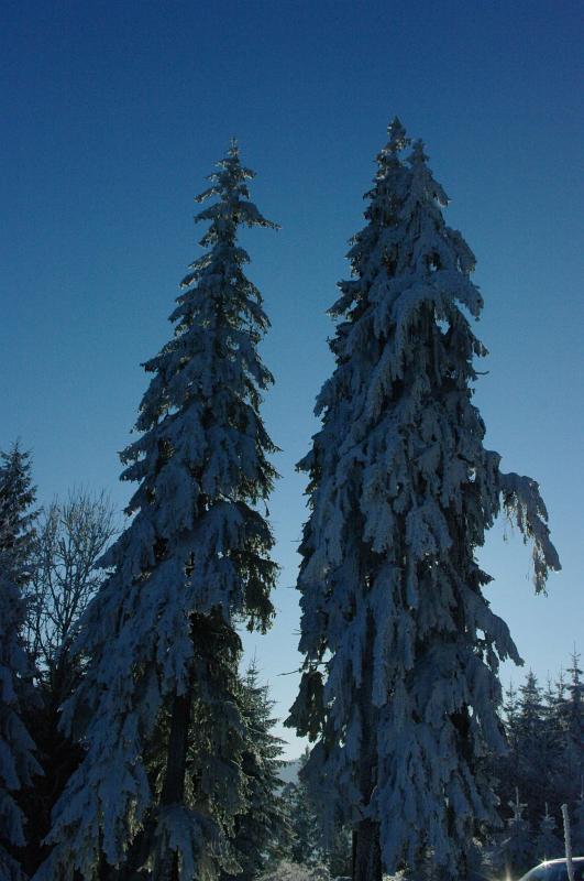 IMGP0787