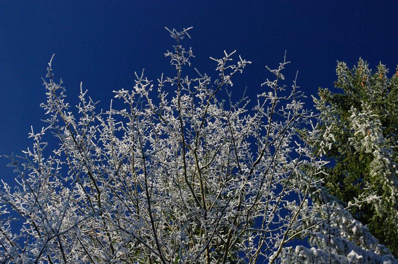 IMGP0795