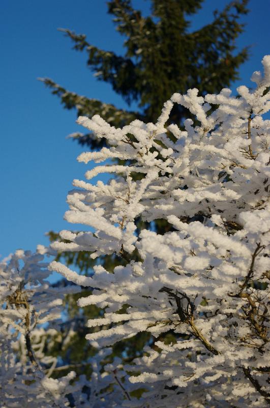 IMGP0844