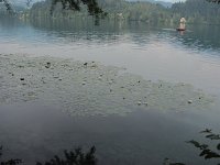 IMG_5248