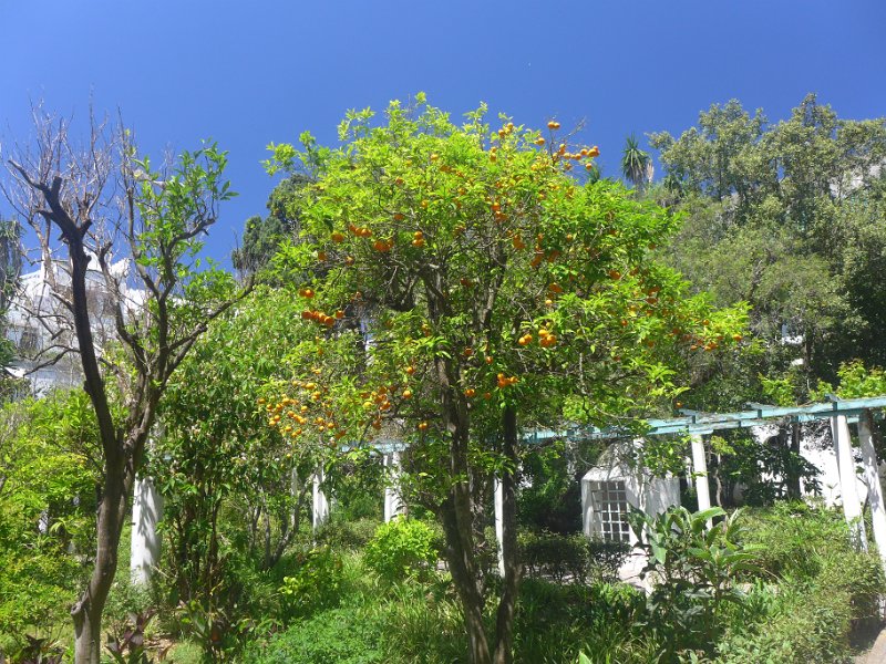 P1070483