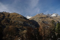 IMGP9531