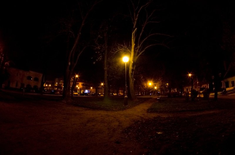 IMGP2386