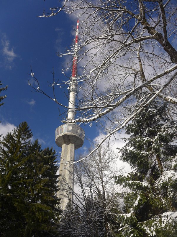 P1060374