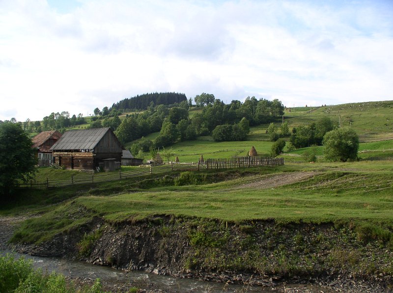 P7050006