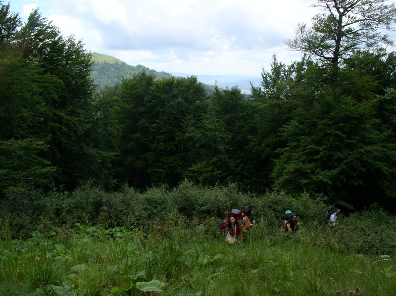 P7060021