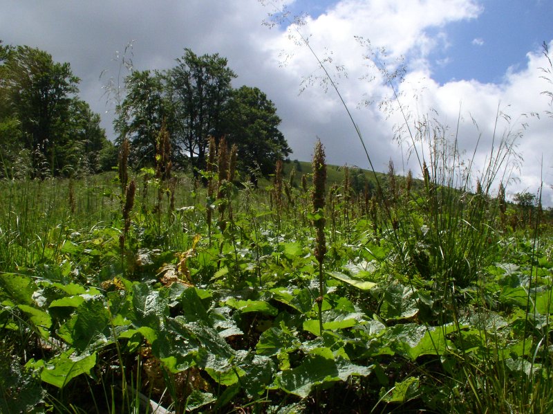 P7060023