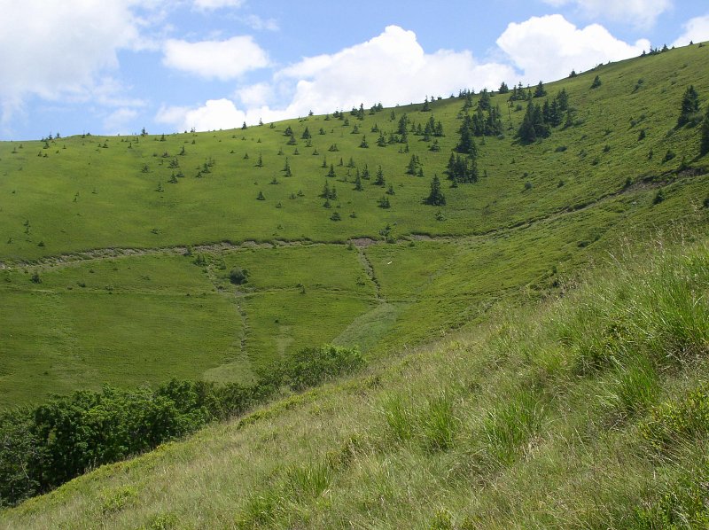 P7060029