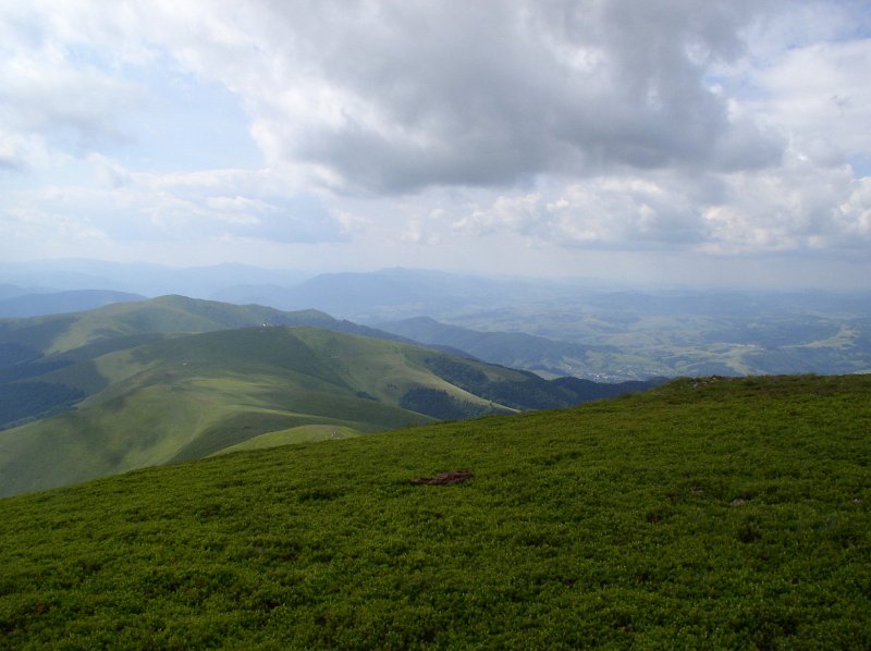 P7060037
