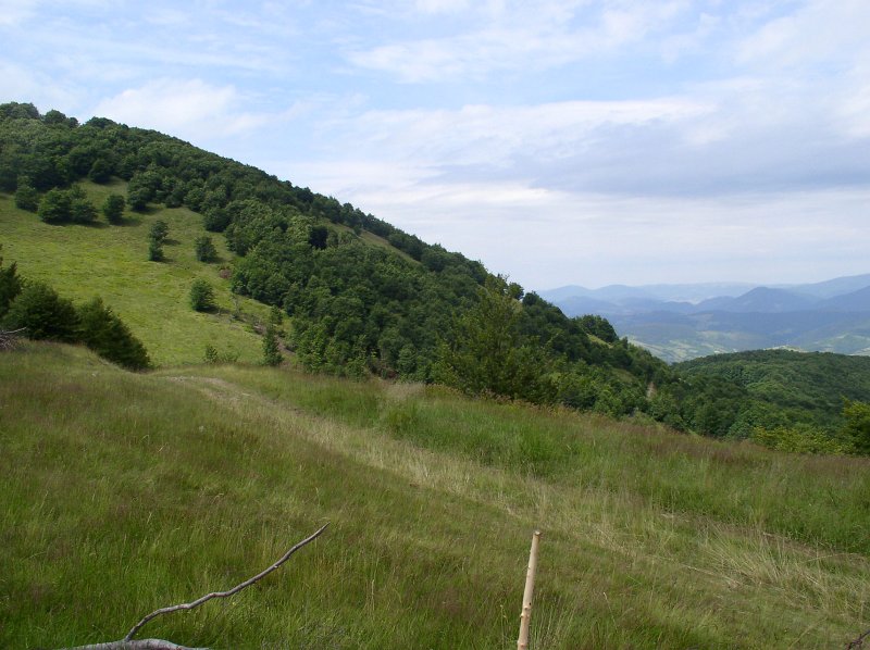 P7070042