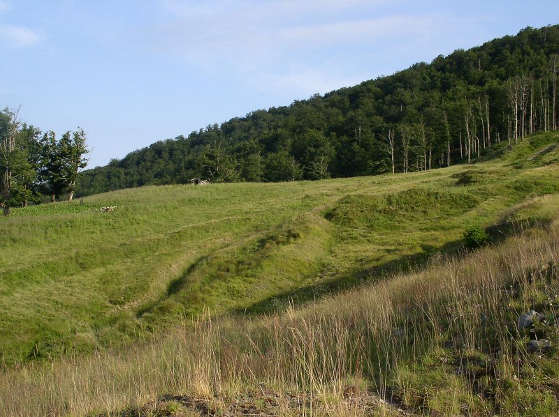 P7070048