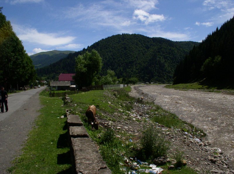 P7080058