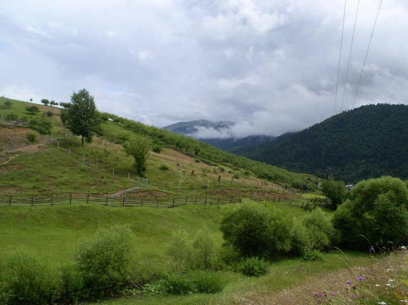 P7090099