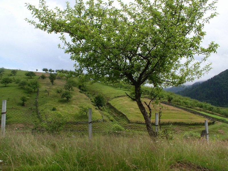 P7090101