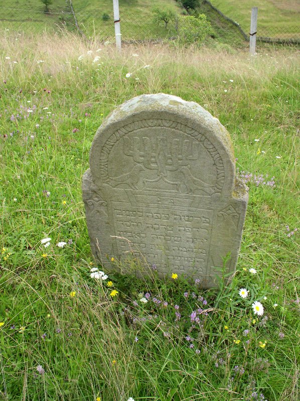 P7090105
