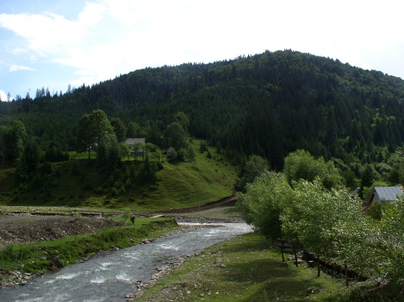 P7090134