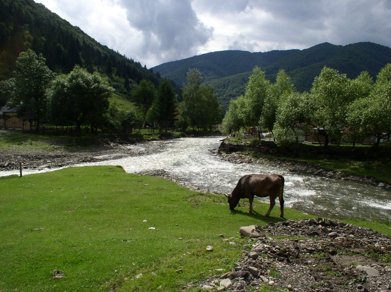 P7090135