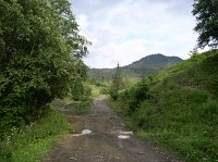P7050005