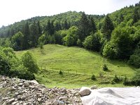 P7090085