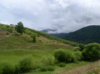 P7090099