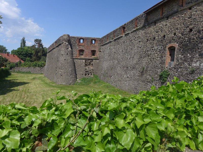 P1000880
