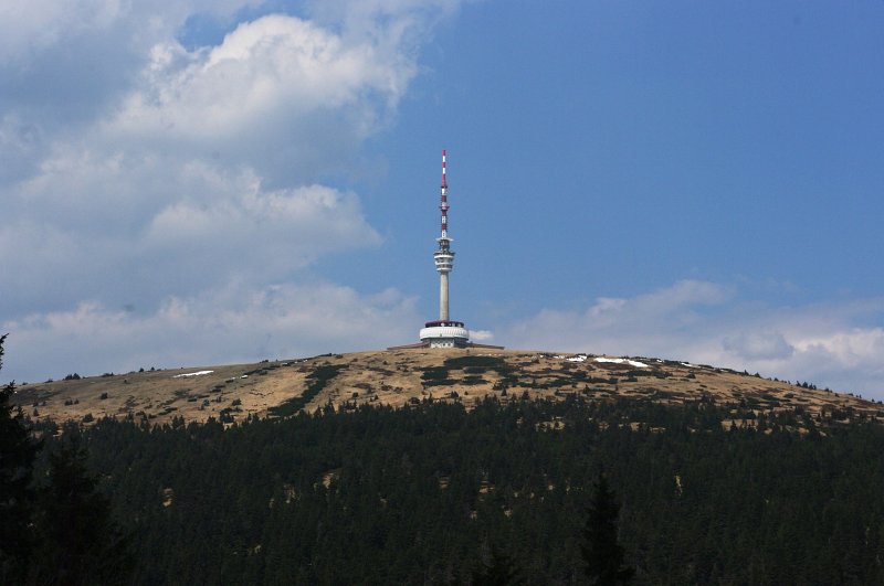 IMGP8003