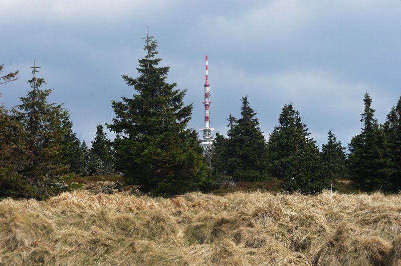 IMGP8006