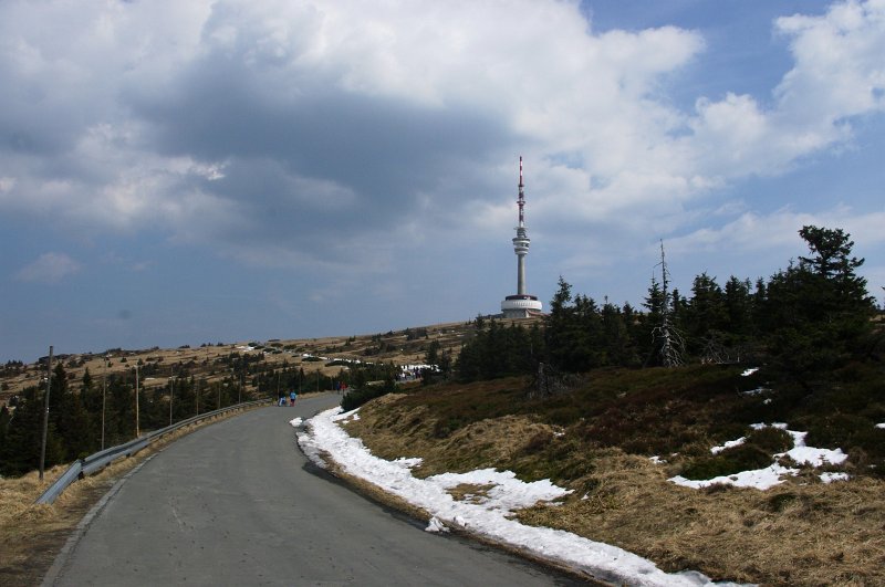 IMGP8007