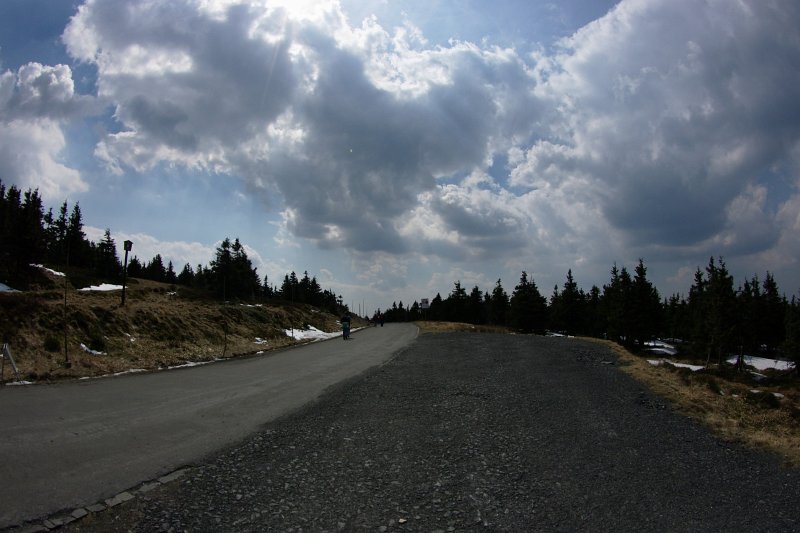 IMGP8010