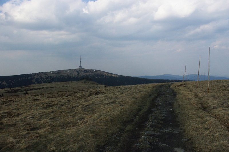 IMGP8023