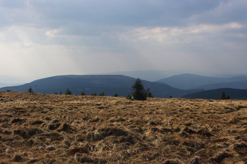 IMGP8024