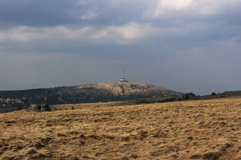 IMGP8026