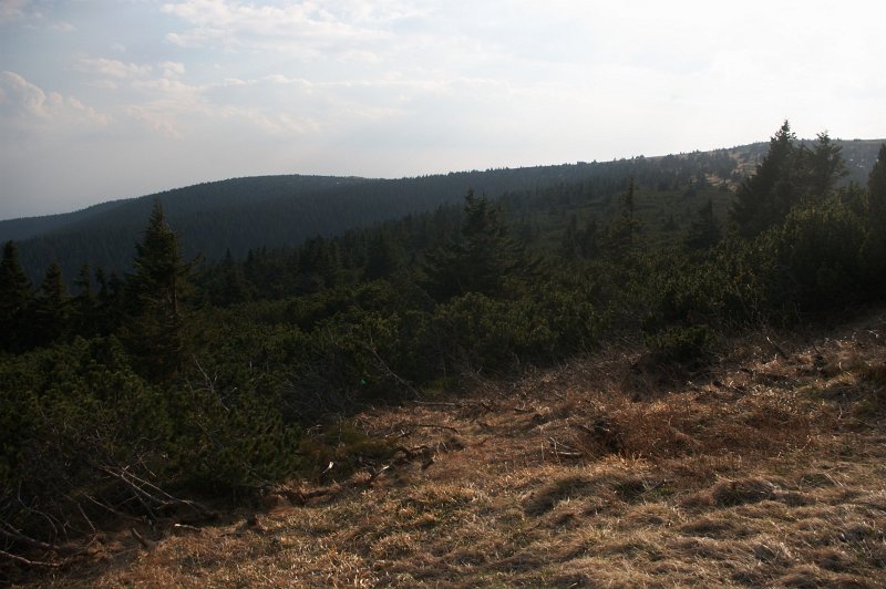 IMGP8043