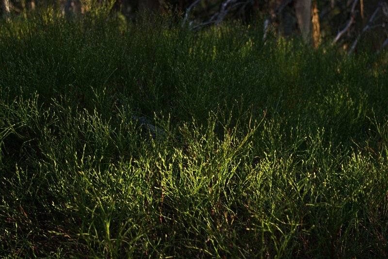 IMGP8045