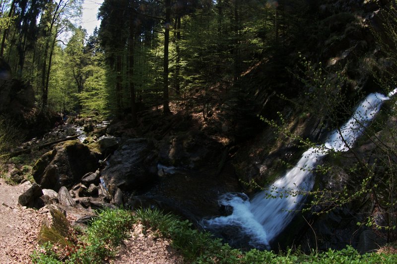IMGP8068