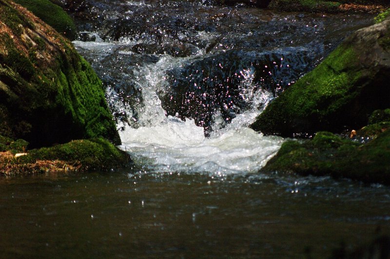 IMGP8082