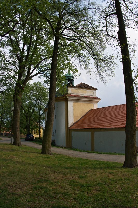 IMGP8126