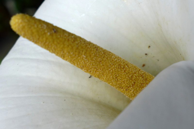 P1170293