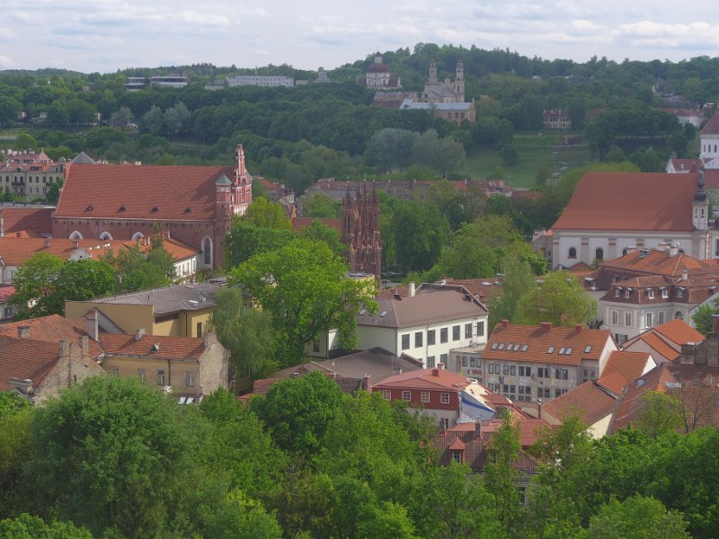20-P1080381