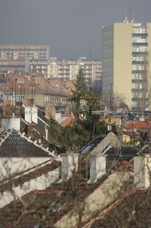 IMGP0219