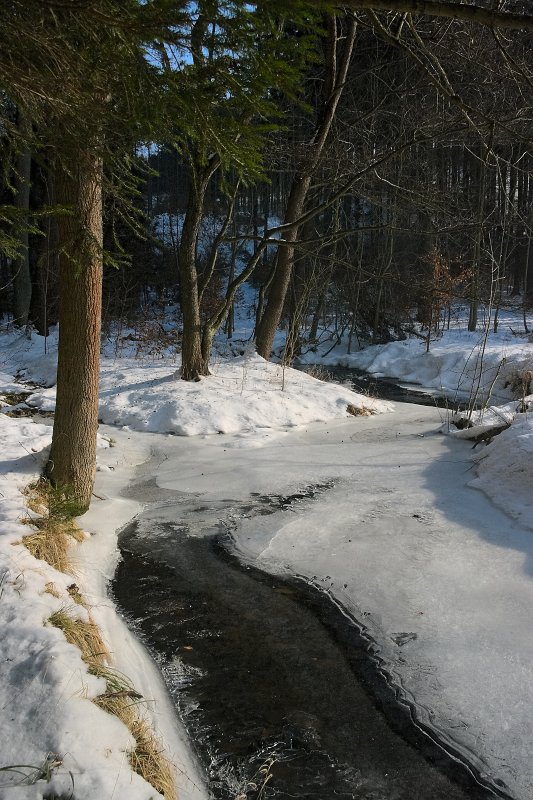 IMGP9721