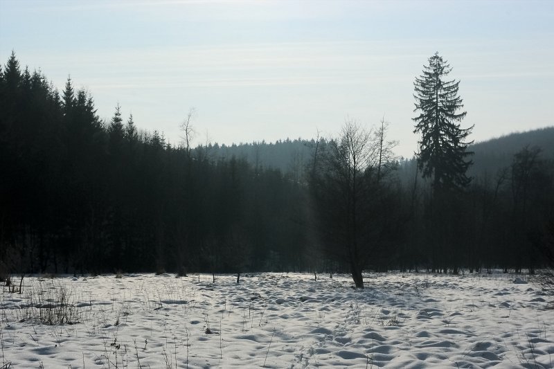IMGP9736