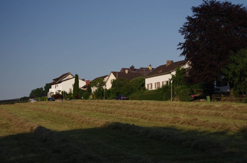IMGP0048