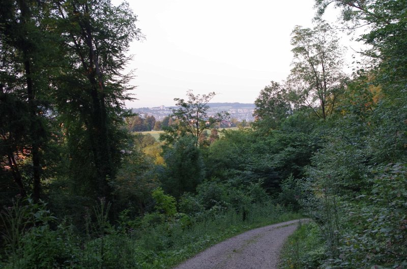 IMGP0067