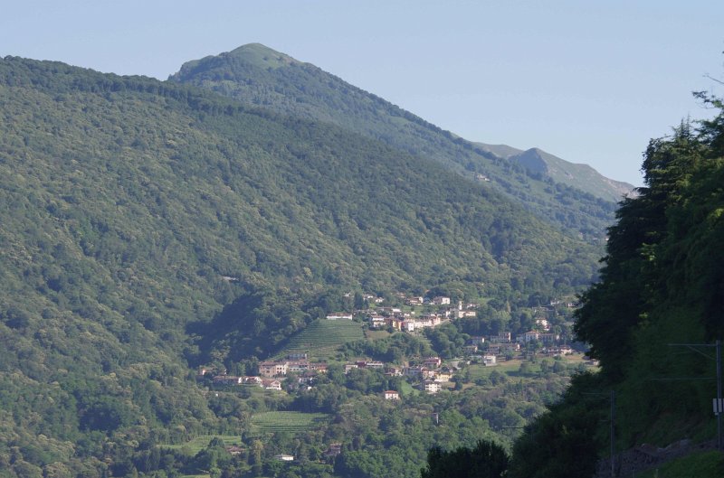 IMGP0081