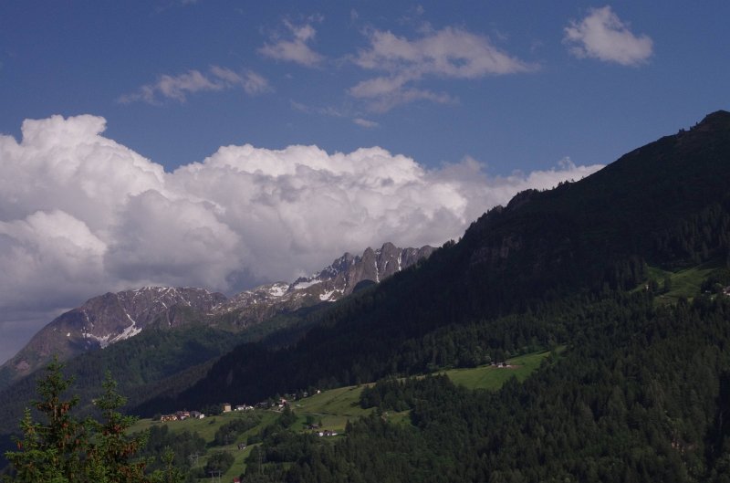 IMGP0207