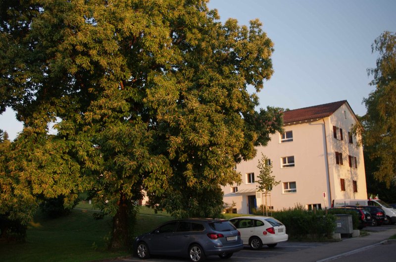 IMGP0298