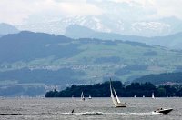 IMGP0337